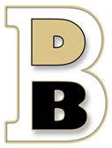 Besso Design Builders & Contractors LLC Logo